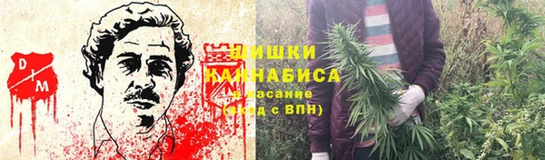 бутират Мегион
