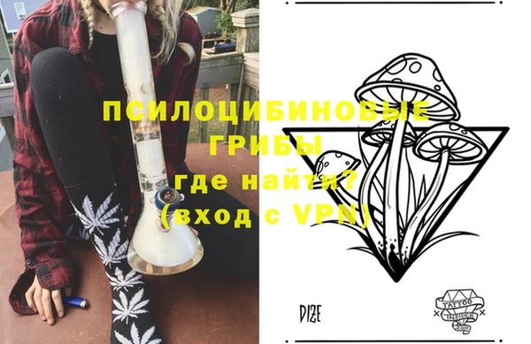 мдпв Медвежьегорск
