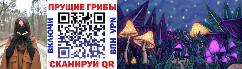Галлюциногенные грибы Cubensis  где найти   Вихоревка 